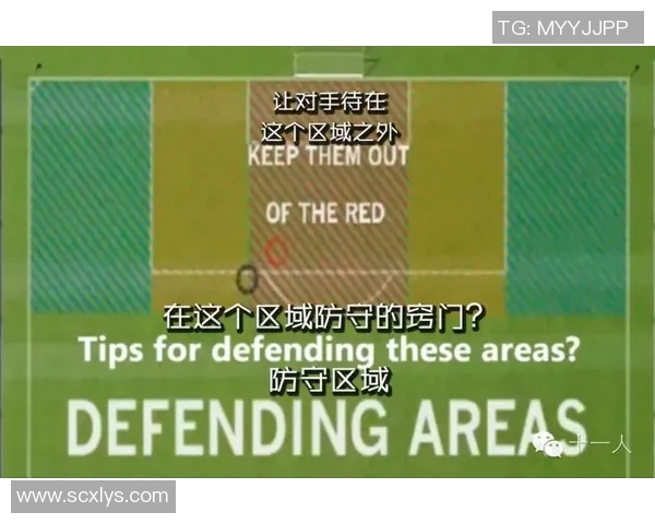 南京足球队区域防守体系解析与战术应用探讨