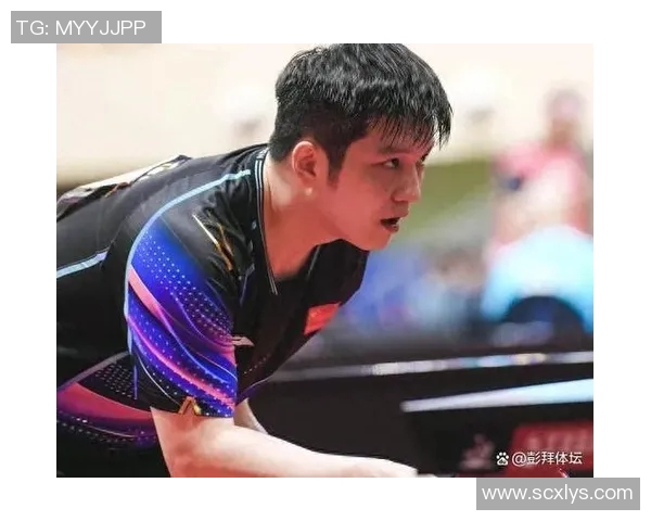 上海篮球队战术创新引领潮流成就新高峰