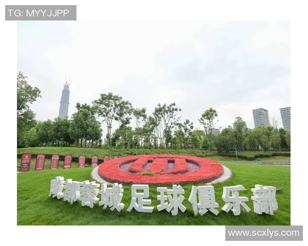 成都足球队实力对比深度解析及未来发展趋势探讨 成都足球队实力对比深度解析及未来发展趋势探讨