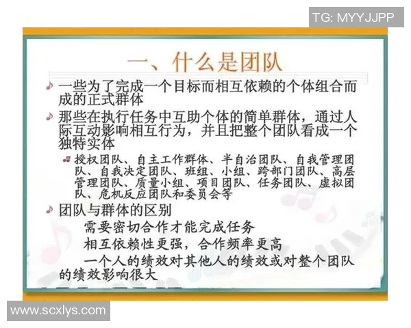上海乒乓球队在城市联赛中的团队协作表现分析与点评
