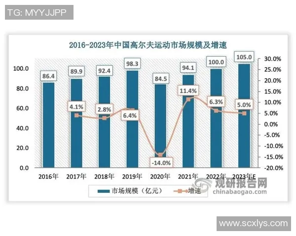 北京排球队实力对比深度解析与未来发展趋势探讨