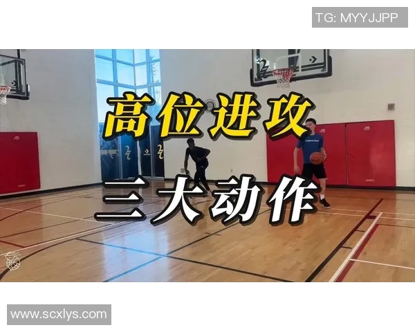 从零起步到篮球高手的全面提升指南与实战技巧分享