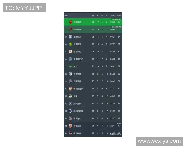 成都排球队在钻石联赛中以83分稳居积分榜首位展现强劲实力