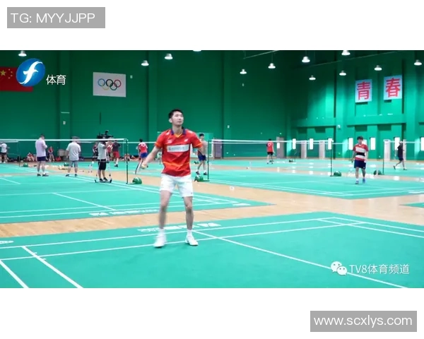 南京羽毛球队引领最新羽毛球技术十大趋势助力运动员提升竞技水平 南京羽毛球队引领最新羽毛球技术十大趋势助力运动员提升竞技水平