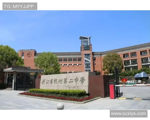 杭州乒乓球队状态排名创新高展现强劲实力与团队凝聚力