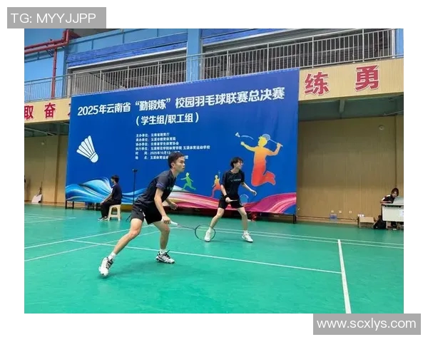 南京羽毛球队技术表现分析与提升策略探讨 南京羽毛球队技术表现分析与提升策略探讨