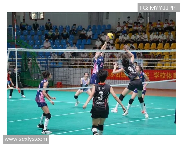 深圳排球队的比赛经验分享与成长之路探讨 深圳排球队的比赛经验分享与成长之路探讨