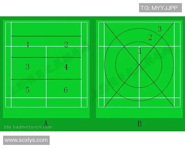 深入分析杭州羽毛球队控制打法的战术特点与应用策略 深入分析杭州羽毛球队控制打法的战术特点与应用策略