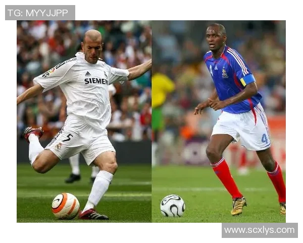 维埃拉足球明星的传奇之路与辉煌成就揭秘