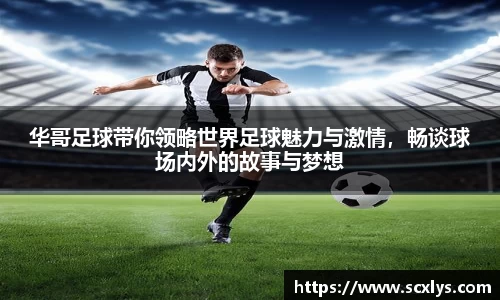 U8国际保障平台