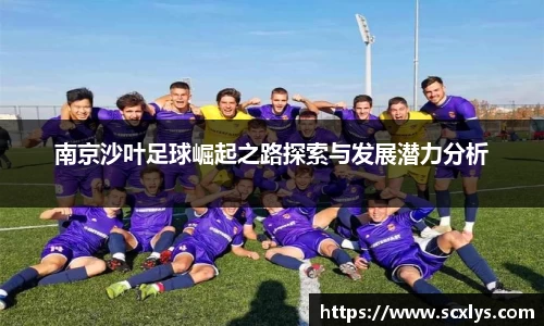 南京沙叶足球崛起之路探索与发展潜力分析