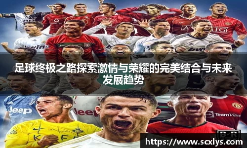 足球终极之路探索激情与荣耀的完美结合与未来发展趋势