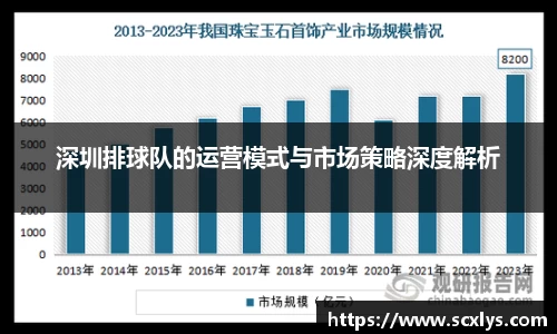深圳排球队的运营模式与市场策略深度解析